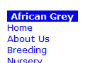 African-Grey.co.za