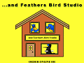 and Feathers Bird Studio- Pet Bird Food