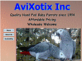 AviXotix Inc