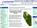 Beak Treats - 100% Human Grade Organic Parrot Food! Keep your parrots heal