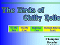 The Birds of Chilly Hollow