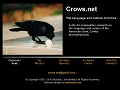 Introduction to crows.net