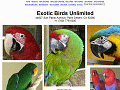 Exotic Birds Unlimited