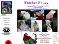 Feather Fancy