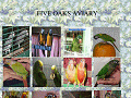 Five Oaks Aviary