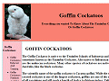 GOFFIN COCKATOOS - Tanimbar Cockatoos