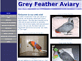 Grey Feather Aviary