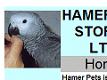 Hamer Pets - Specialists in hand reared, English bred, parrots