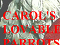 Carol's Lovable Parrots