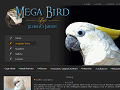 Mega Bird Store - Cockatoos available now