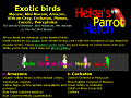 Helga's Parrot Hatch - Exotic birds - parrots, macaws, cockatoos and more