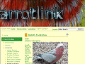 Parrot Link - Galah Cockatoo