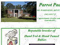 Parrot Pad