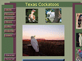 Texas Cockatoos